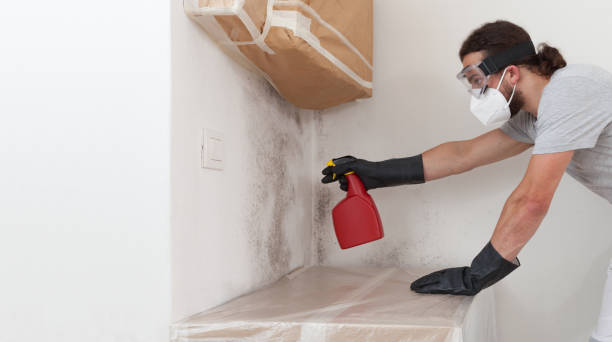 Professional Crawl Space Mold Removal technician working in Glen Ellyn, IL