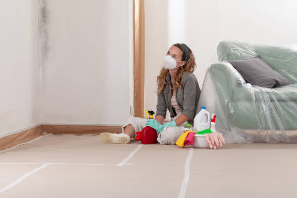 Reliable Crawl Space Mold Removal contractor in Glen Ellyn, IL by WQB Mold Removal